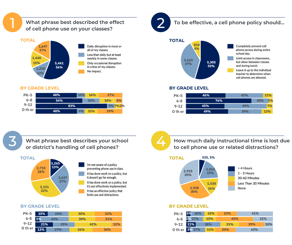 Snapshot of survey results