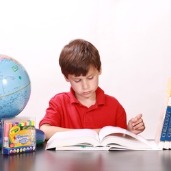 Reading Disorder Trainings Provided to Educators